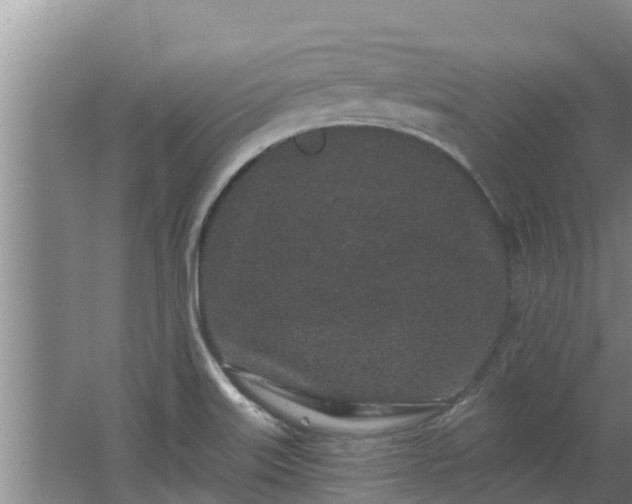 X0000064051515200602031610