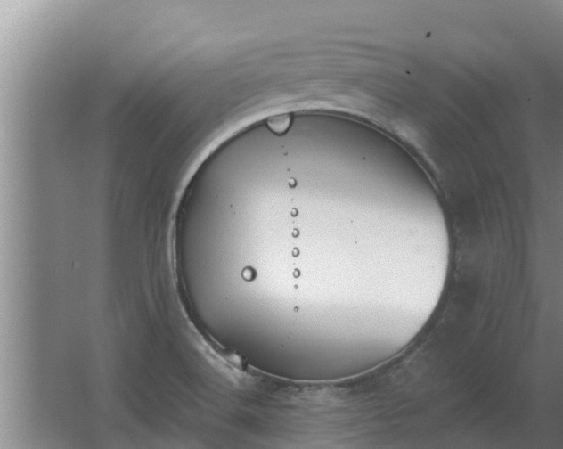 X0000064051516200602031610