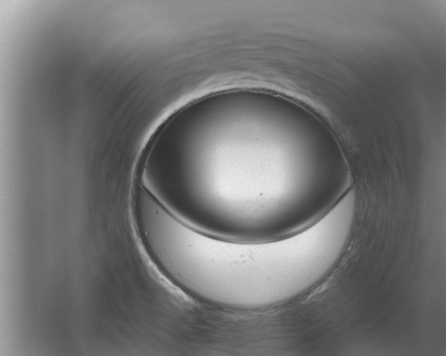 X0000064051518200602031610