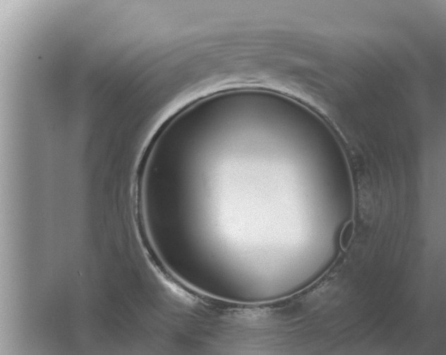 X0000064051519200602031610