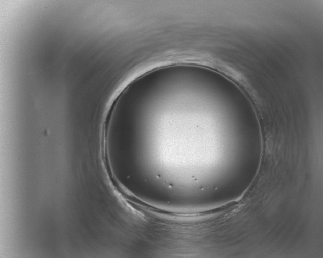 X0000064051520200602031610