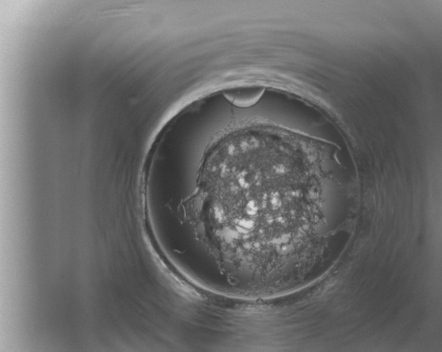 X0000064051522200602031610