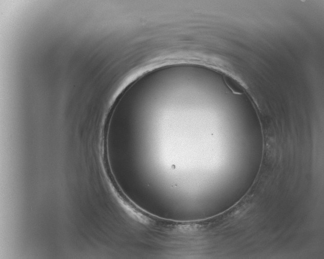 X0000064051523200602031610