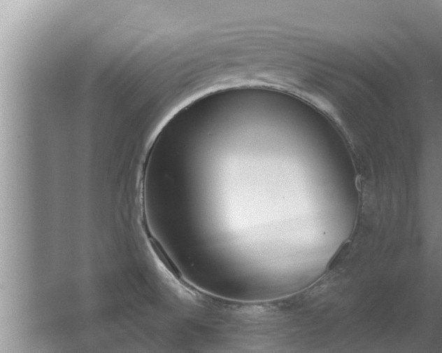 X0000064051524200602031610