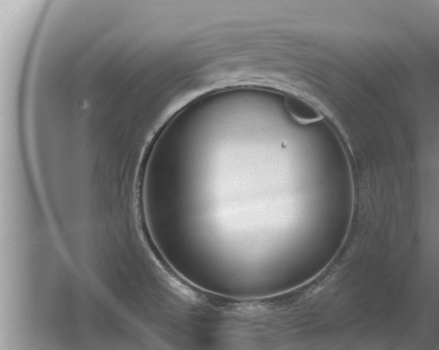 X0000064051525200602031610