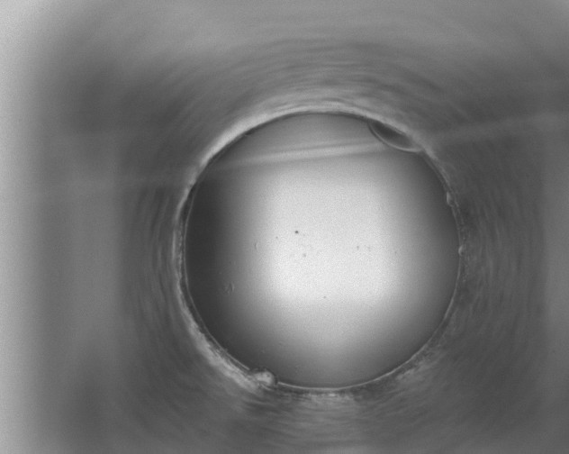 X0000064051526200602031610