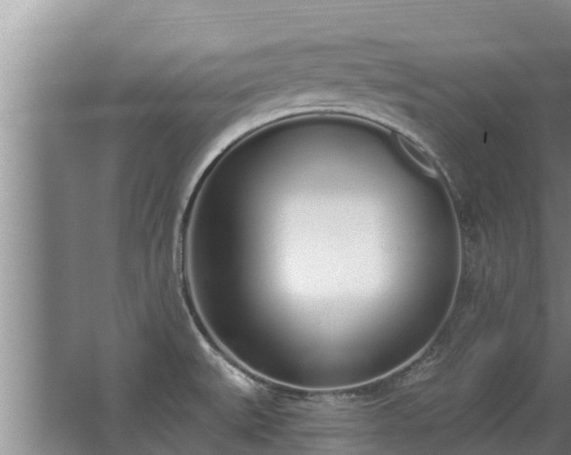 X0000064051527200602031610