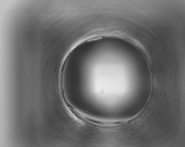 X0000064051528200602031610