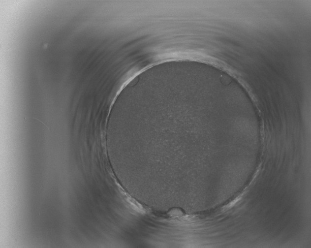 X0000064051529200602031610