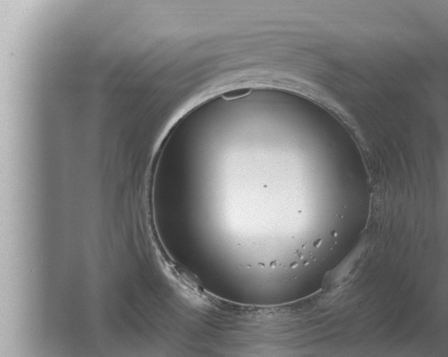 X0000064051530200602031610