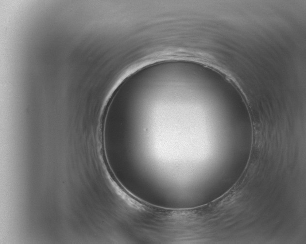 X0000064051531200602031610