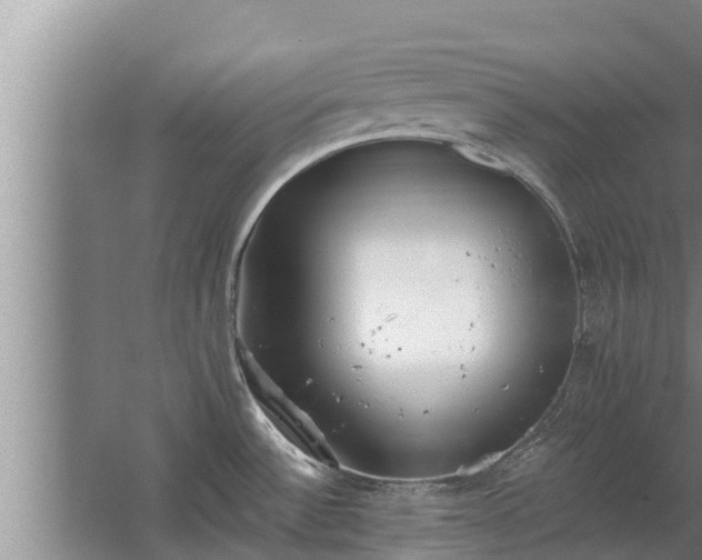 X0000064051532200602031610