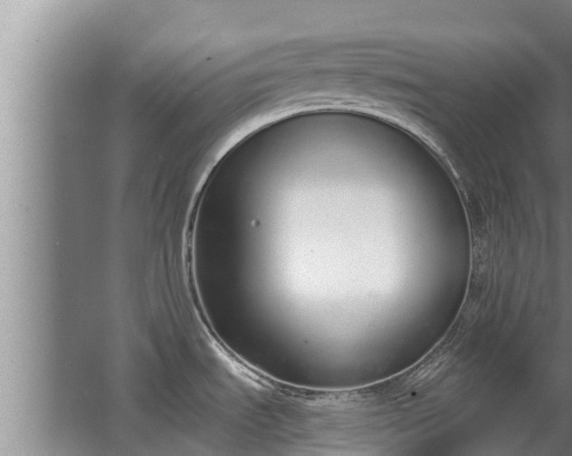 X0000064051535200602031610