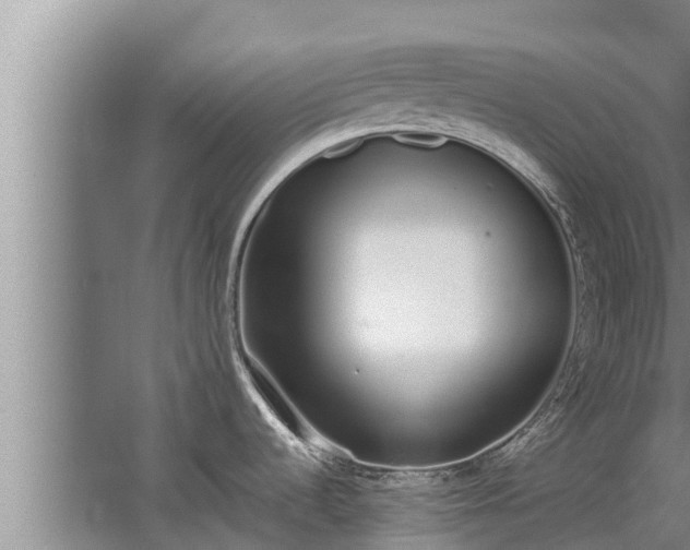 X0000064051536200602031610