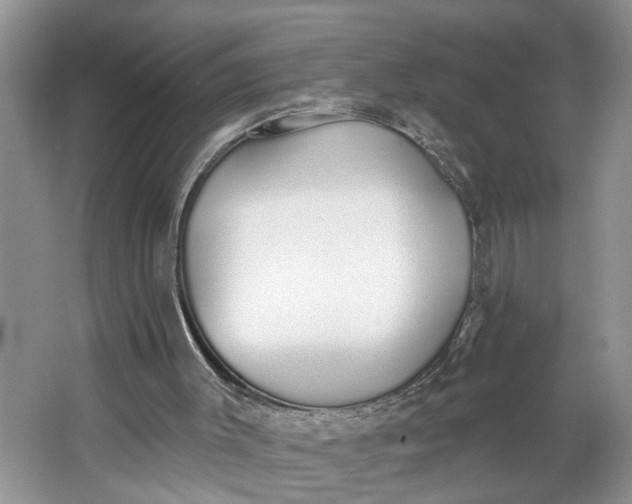 X0000064050003200602101502
