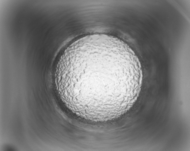 X0000064050012200602101502