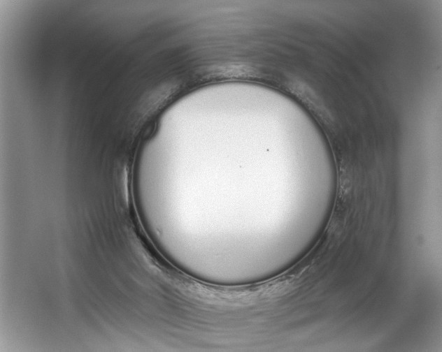 X0000064050014200602101502