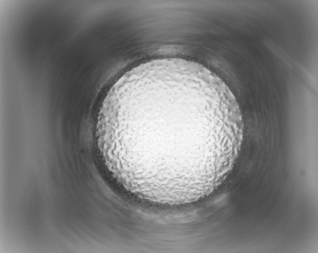 X0000064050016200602101502