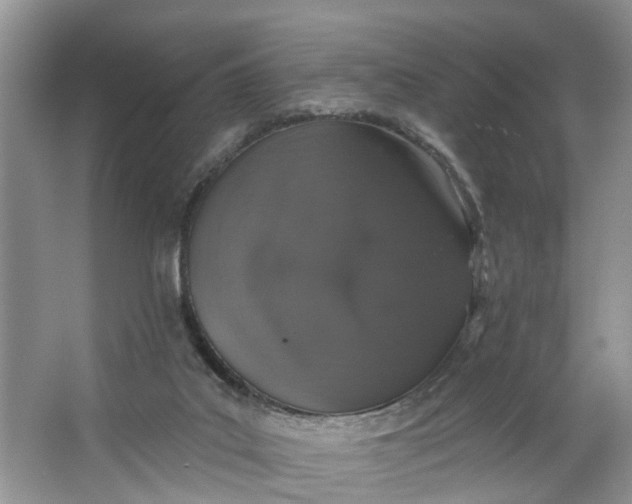 X0000064050019200602101502