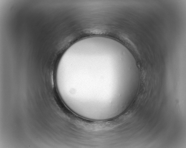 X0000064050020200602101502