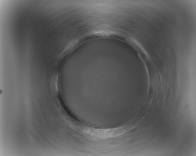 X0000064050023200602101502