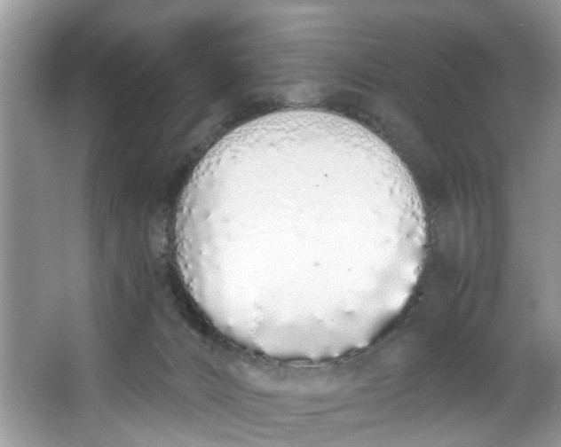X0000064050032200602101502
