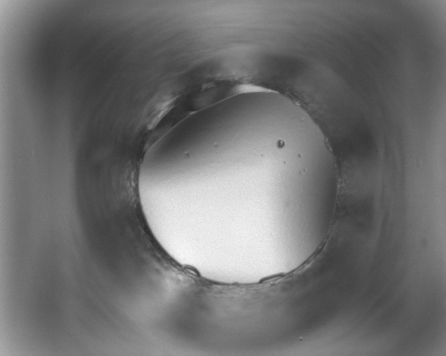 X0000064050045200602101502