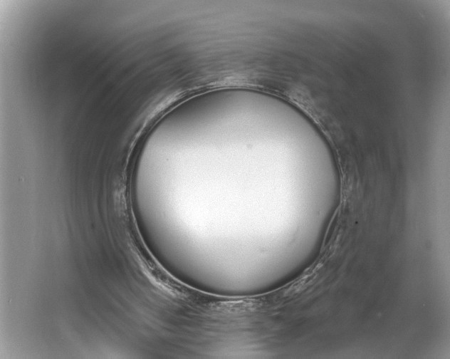 X0000064050050200602101501