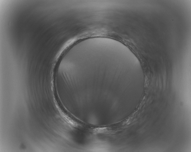 X0000064050054200602101501