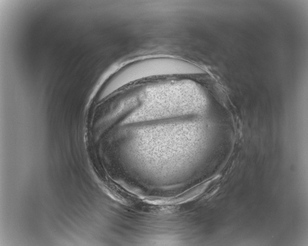 X0000064050056200602101501