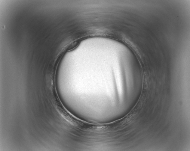 X0000064050059200602101501