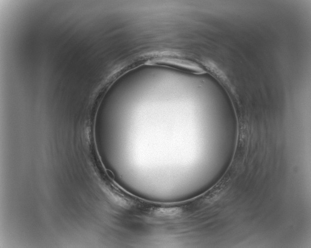 X0000064050063200602101501