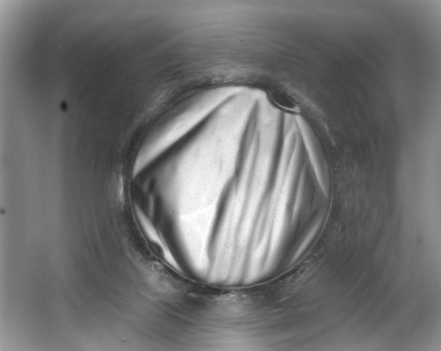 X0000064050067200602101501