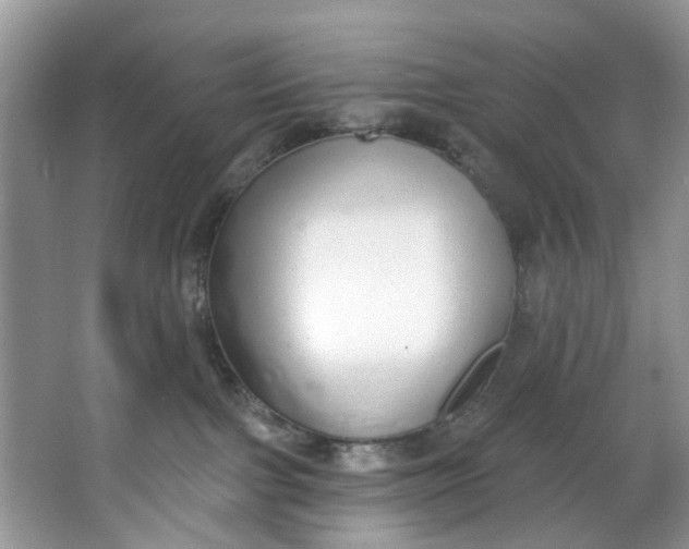 X0000064050091200602101501