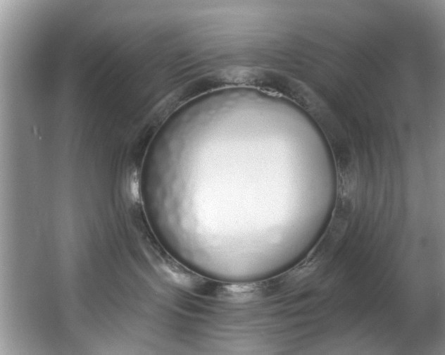 X0000064050095200602101502