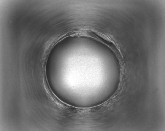 X0000064050097200602101501