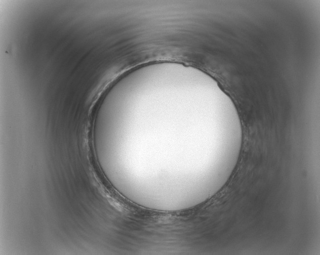 X0000064050098200602101501