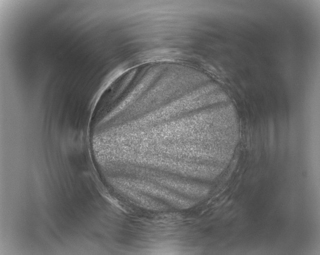 X0000064050099200602101501