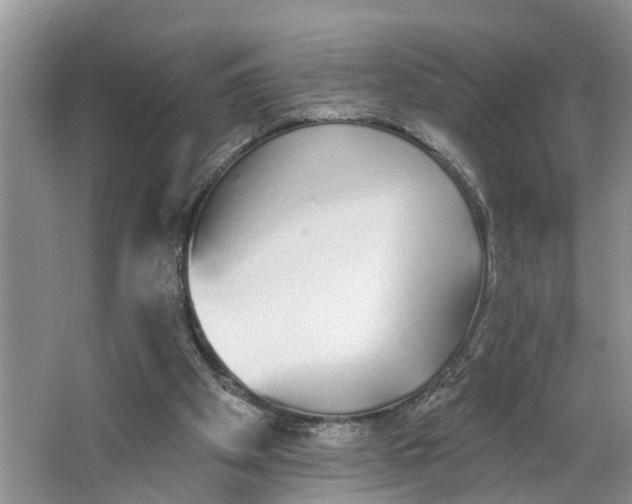 X0000064050105200602101501