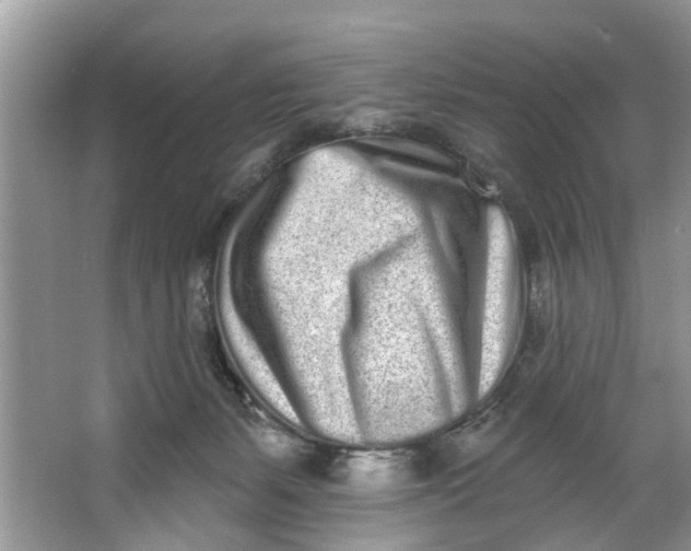 X0000064050127200602101500