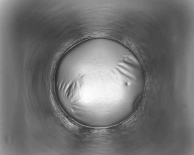 X0000064050145200602101459