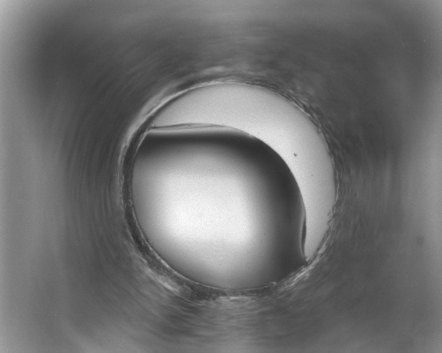 X0000064050150200602101459