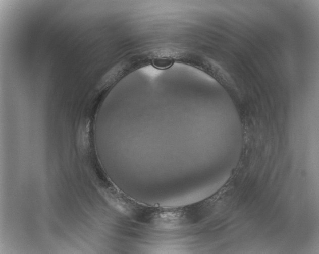 X0000064050163200602101459