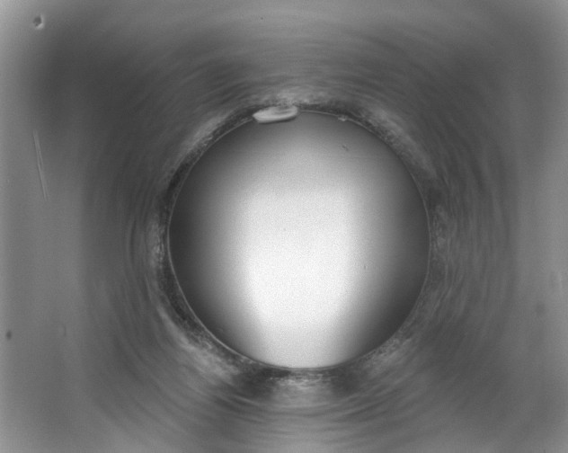 X0000064050164200602101459