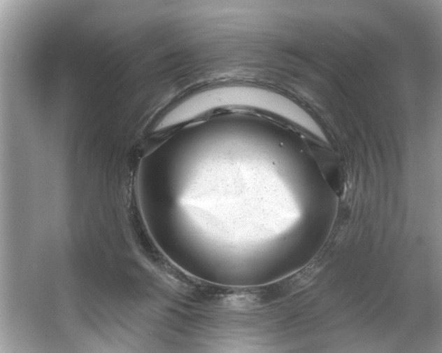 X0000064050168200602101500