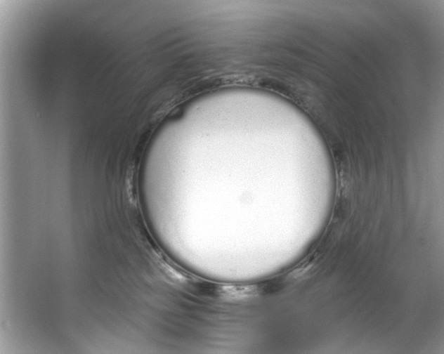 X0000064050185200602101500