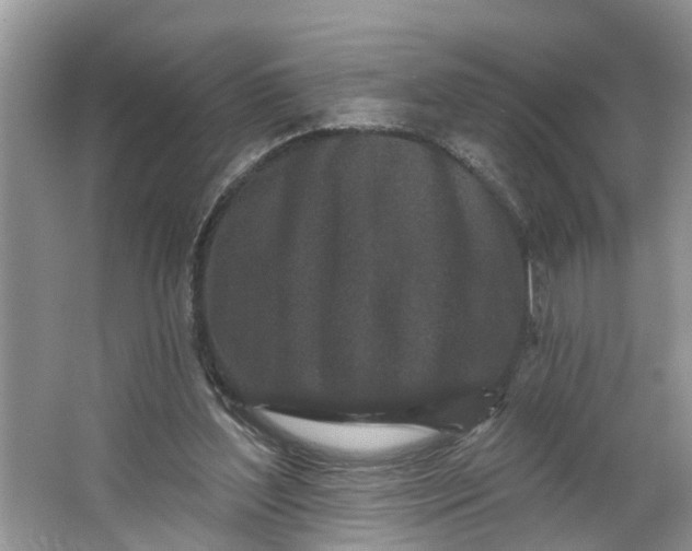 X0000064050204200602101459