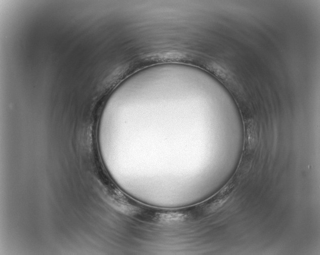 X0000064050206200602101459