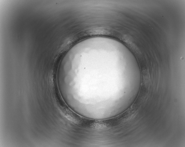 X0000064050207200602101459