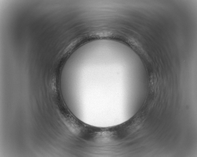 X0000064050212200602101459